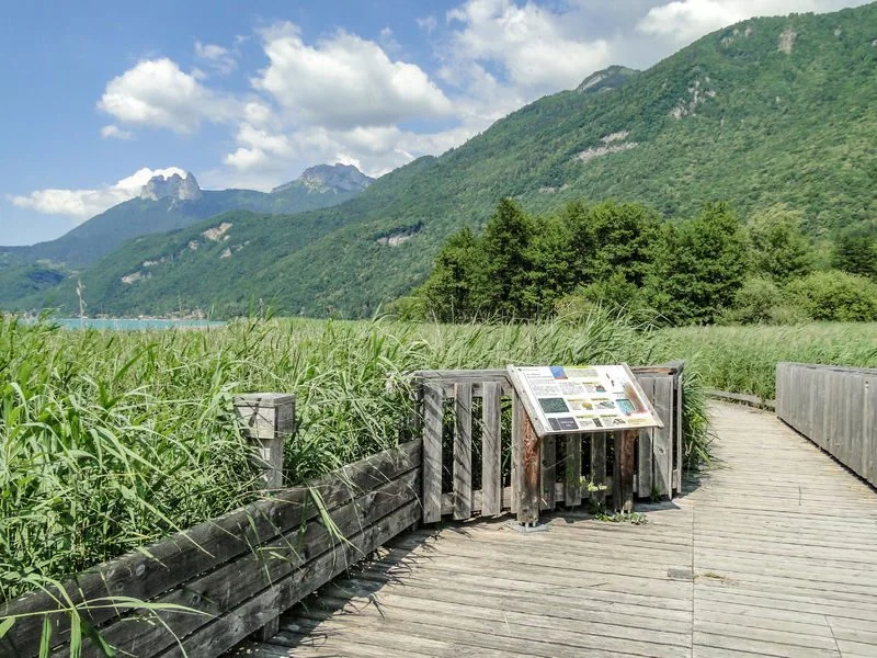 Photographie de Réserve naturelle du Bout du Lac