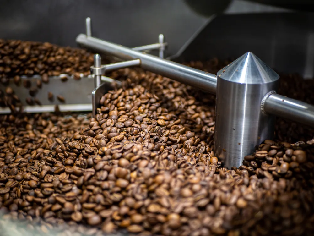 Adrenaline Coffee Roasters — Grains de café dans le torréfacteur