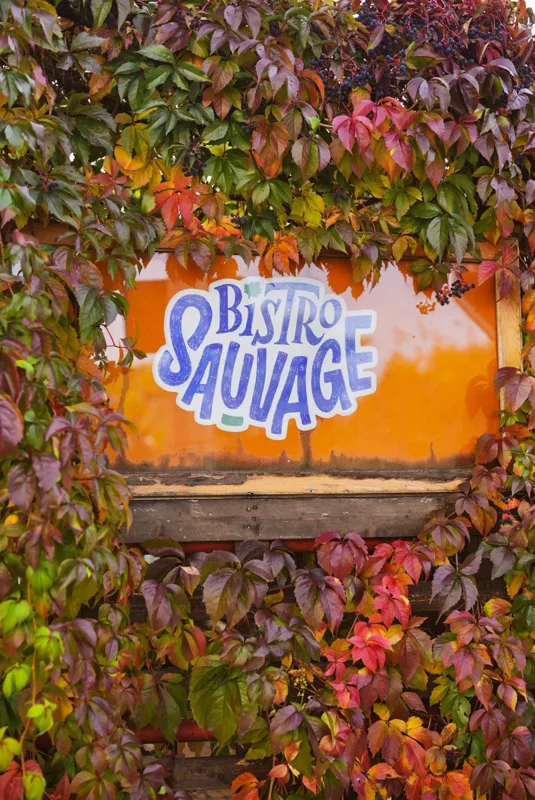 Bistro Sauvage — Décoration intérieure